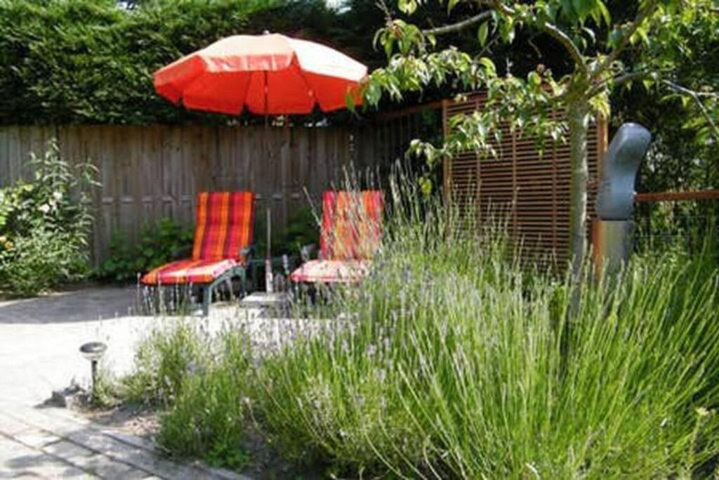 Studio Bed & Strand Scharendijke Exterior photo